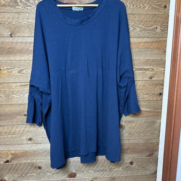 Bryn Walker Super Boxy Dolman Sleeve French Terry Blue Top Size large - Picture 1 of 6
